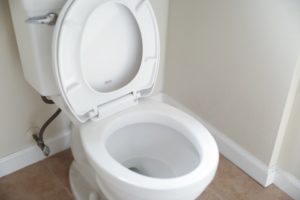Toilet Clogging