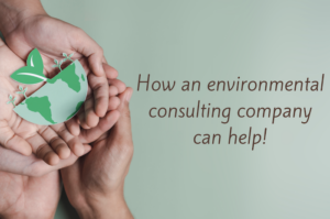 Environmental Consulting